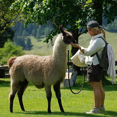게스트하우스 Gaestepension Edeltraud *