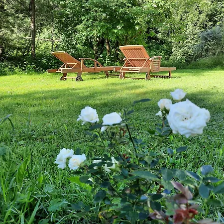 Gaestepension Edeltraud 게스트하우스