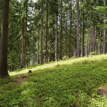 Gaestepension Edeltraud * Hirschegg (Styria)