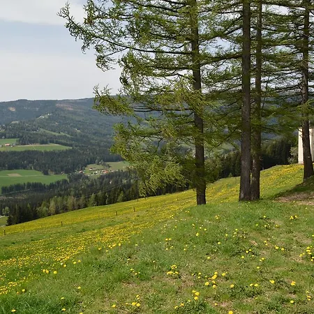 Gaestepension Edeltraud Hirschegg (Styria)