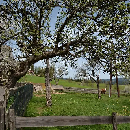 Gaestepension Edeltraud 게스트하우스