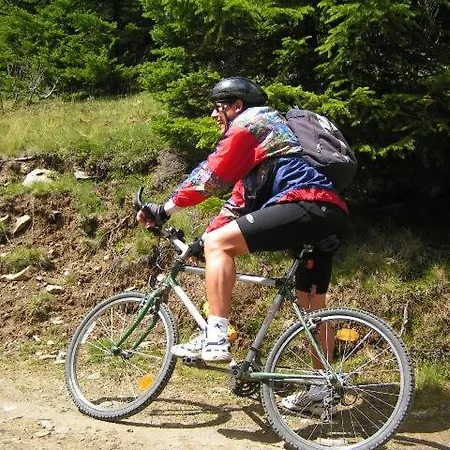 Gaestepension Edeltraud ゲストハウス Hirschegg (Styria)