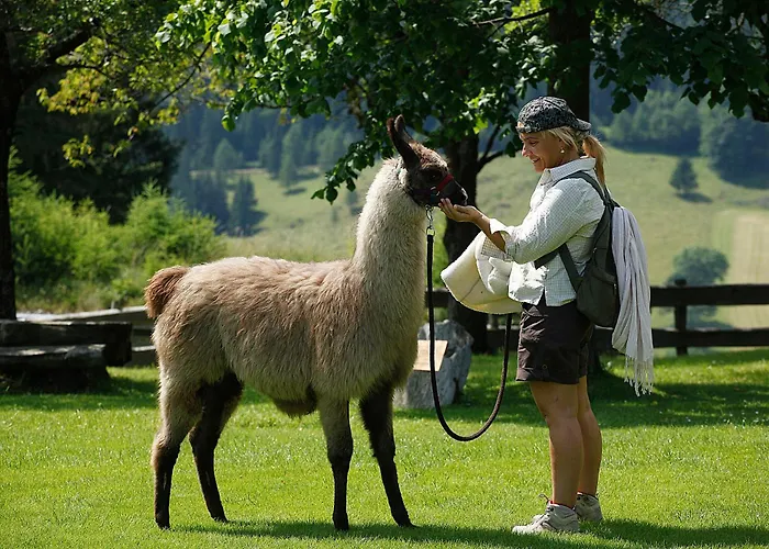 بيت ضيافة Gaestepension Edeltraud *