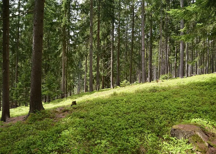 Gaestepension Edeltraud * Hirschegg (Styria)