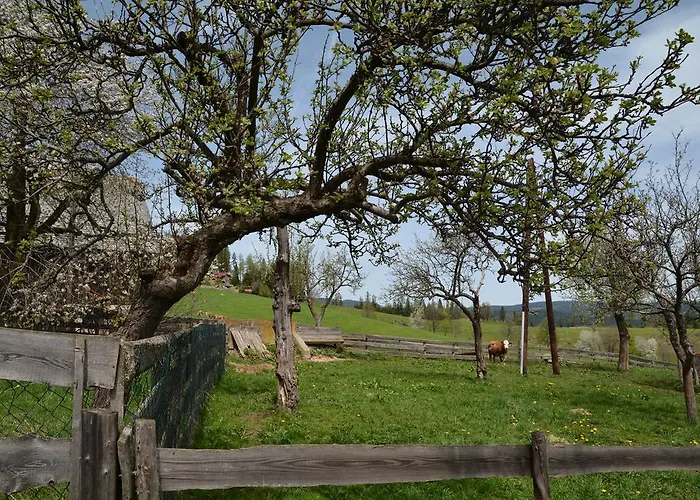 Gaestepension Edeltraud بيت ضيافة