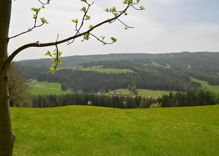 بيت ضيافة Gaestepension Edeltraud *